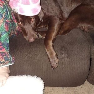 Meet your Posher, Riley